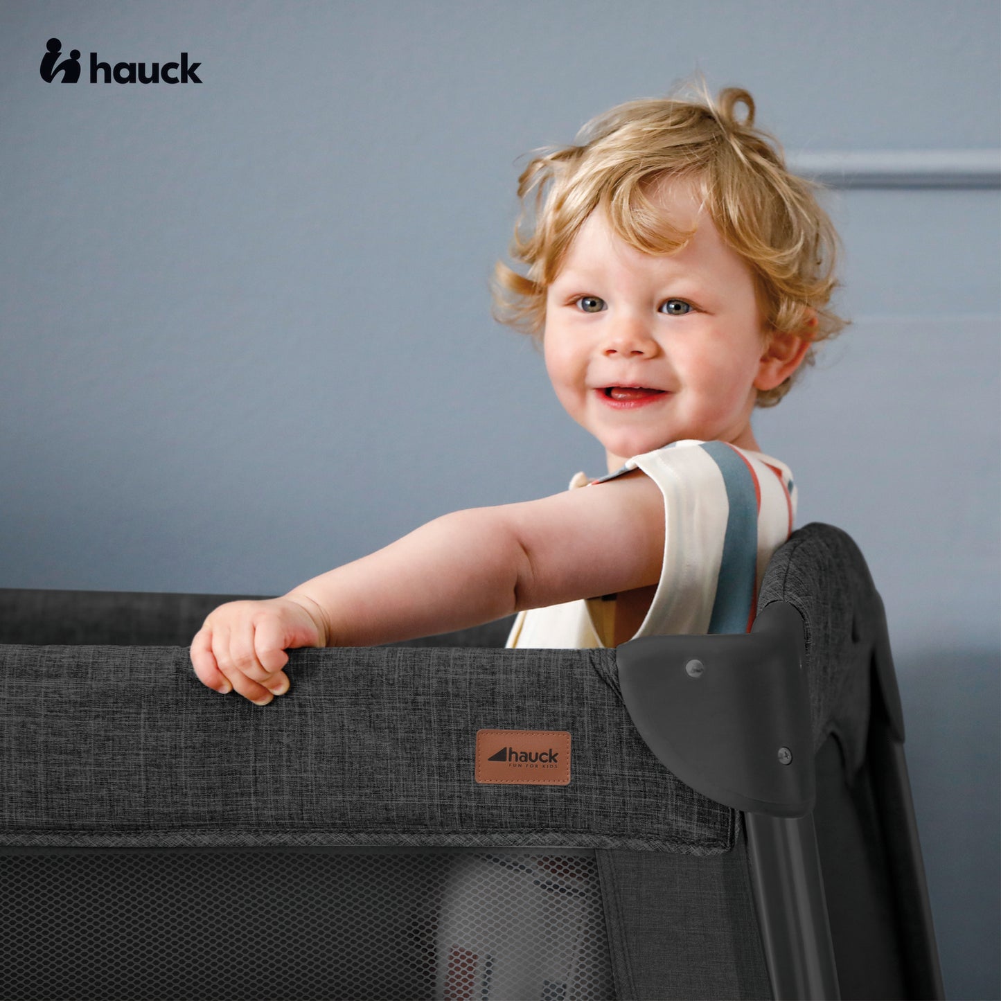 hauck Play N Relax Center