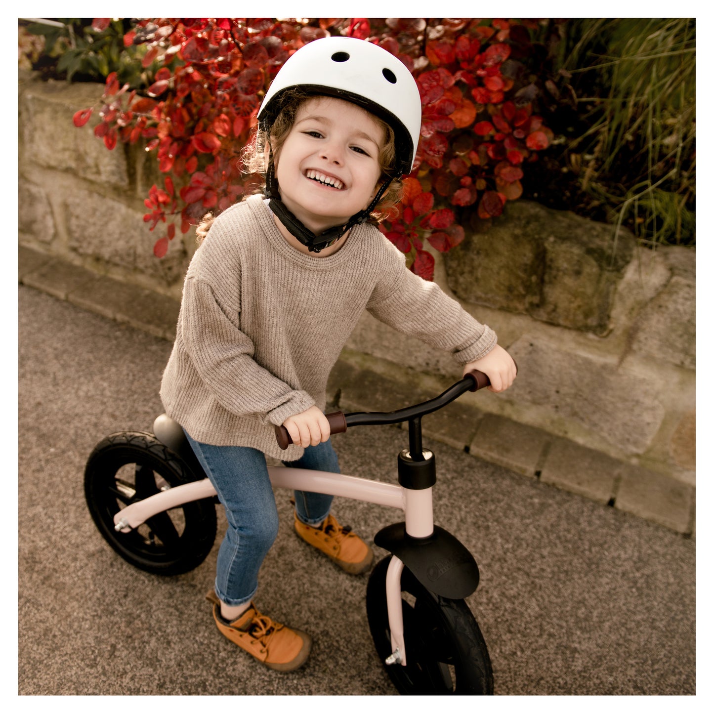 hauck E Z Rider 12 Balance Bike