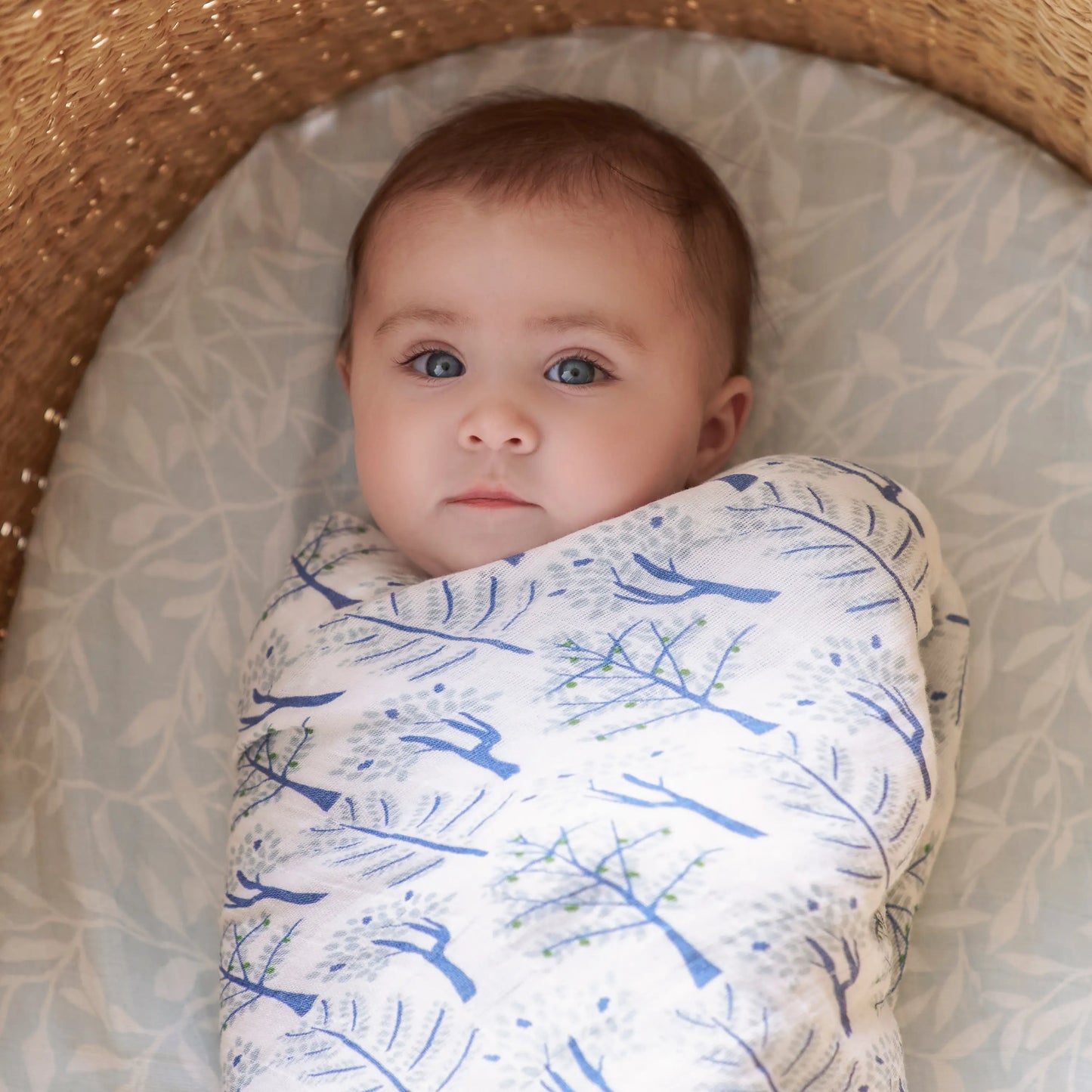 aden + anais Large Organic Swaddles 4-Pack